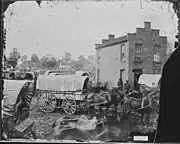 Covered wagons with teams of horses c. 1860–1865