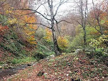 Nature on the road to the Shkhmurad Monastery