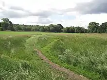 Hampstead Heath Extension