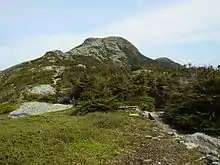 View of Mount Mansfield from the Long Trail