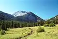 Sacajawea Peak from Hurricane Creek Trail