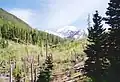 Sacajawea Peak from Hurricane Creek Trail