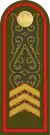 CержантSerjant(Kazakh Ground Forces)