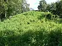 Mound 2 at Lake Jackson Mounds Archaeological State Park