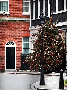 2009 tree from Hastings, East Sussex.