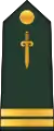 Lieutenant(Central African Ground Forces)