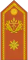 General de brigada(Army of Equatorial Guinea)