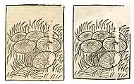 Agaricus campestris. Left: Hortus Sanitatis, Straßburg 1497 (I, 203). Right: Kleines Destillierbuch (Blatt 42v)