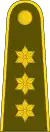 Kapitonas(Lithuanian Land Forces)