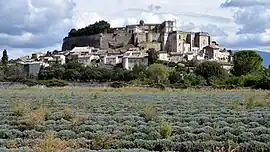 View of Grignan and its castle, with a lavender field in the foreground