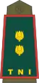 Lieutenant Colonel