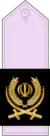 Islamic Republic of Iran Air Defense Force insignia