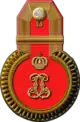 Kapitan epaulette (1904)