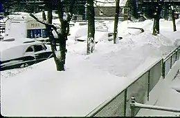 Snow to height of front yard fence, covering sidewalk and parkway trees