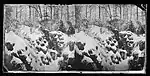 Snow Scene, Prospect Park, c. 1872–1887. George Bradford Brainerd