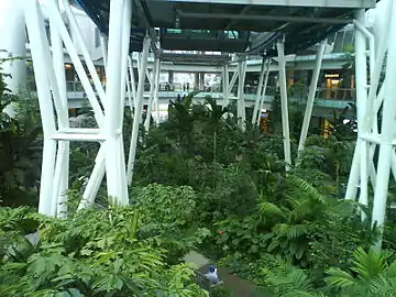 The site includes a tropical rainforest garden