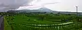 Jatiluwih rice terrace in Bali, Indonesia.