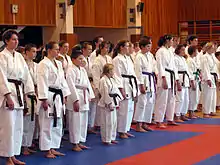 Image 16Karatekas at a dojo with different colored belts (from Karate)