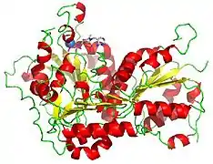 Cartoon diagram of pyruvate decarboxylase monomer with TPP attached.