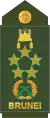 Fil marsyal(Royal Brunei Land Forces)