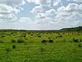 Landscape around Hoogersmilde