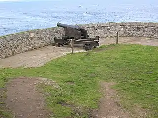 a cannon