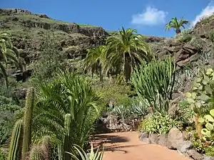 Variety of plants in Palmitos Park