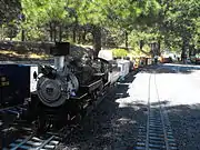 Live Steamer on K&W track