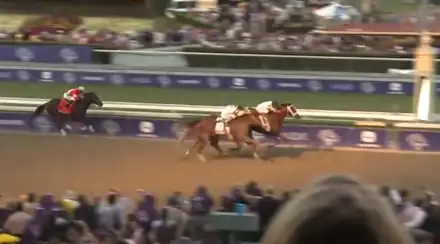 Three racehorses galloping towards the finish line