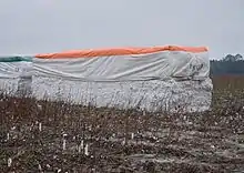 Cotton modules in a harvested cotton field (Clinch County, Georgia, USA, January 2014).