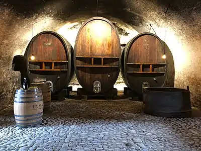 The historical cellars of the castle