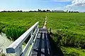 The church path through the fields