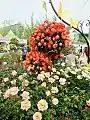 2018 Goyang International Flower Festival_outside garden