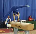 Performed by a young gymnast during the pommel horse apparatus final at the International Junior Budapest Cup