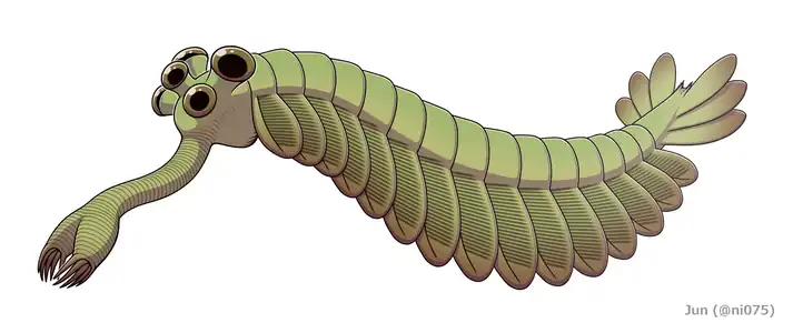 Opabinia was a creature with an unusual body plan; it was probably related to arthropods