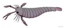 Pterygotus was a giant eurypterid that had a nearly cosmopolitan distribution (reconstruction shown here is Devonian species P. anglicus)