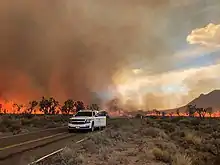 A white BLM vehicle stands guard in the road as tall orange flames burn on both sides behind it among scrub and Joshua Trees