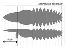 Size estimation