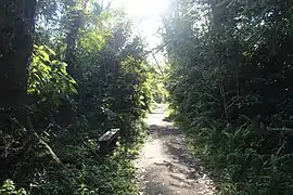 Hiking trail near Charco Azul.