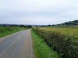 The road and landscape in Vianges