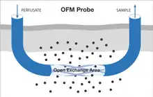 Schematic illustration of an OFM probe