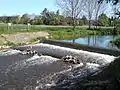 Old 2-step weir with local heron