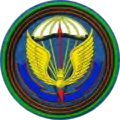 Brigade sleeve patch (since 2006)