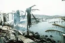 Photograph of trees, buildings, and marina structures damaged by the hurricane