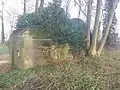 Overgrown World War II bunker