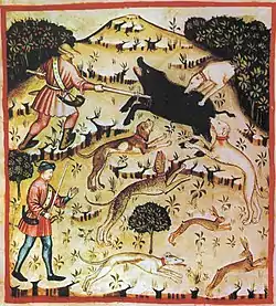 Boar hunting, tacuinum sanitatis casanatensis (14th century)