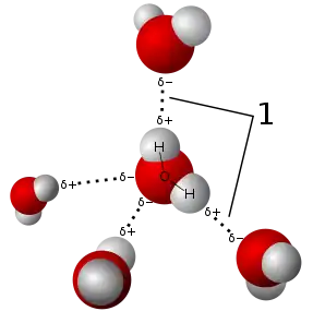 Image 22Model of hydrogen bonds (1) between molecules of water (from Properties of water)