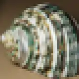 Nearest-neighbor interpolation