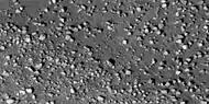 Close view of boulders along crater rim Boulders are roughly the size of cars or small houses.  Picture taken with HiRISE under HiWish program.