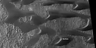 Close view of sand dunes, as seen by HiRISE under HiWish program  A birchen dune is labeled.